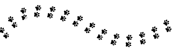 Adobe Express - file-1