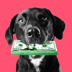 Newsletter Upcoming Events (2)