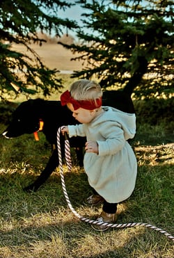 dc469206-963b-441b-b300-48ec5f29d23c